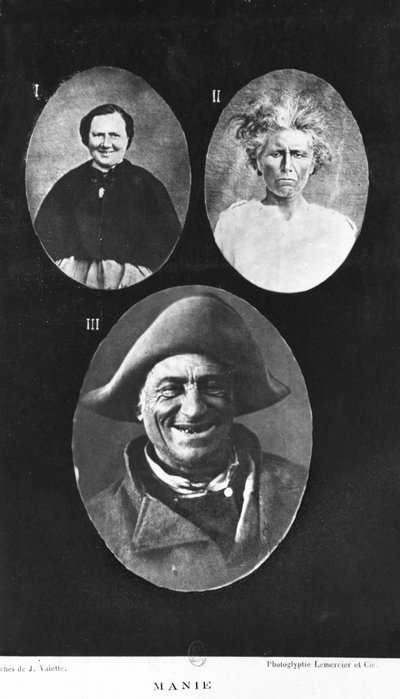 Mania, Illustration from Nouveau Traite Elementaire et Pratique des Maladies Mentales by Henri Dagonet by French Photographer